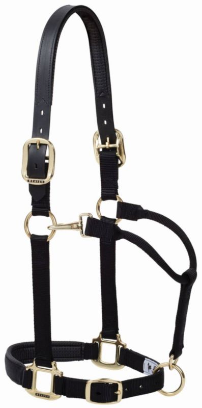 Weaver Breakway Snap Halter Average Black