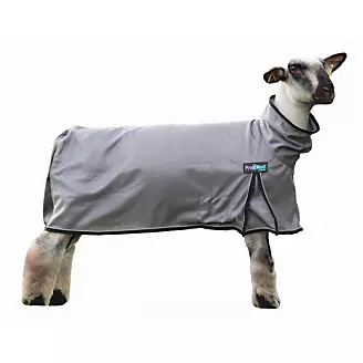 Weaver Procool Mesh Sheep Blanket