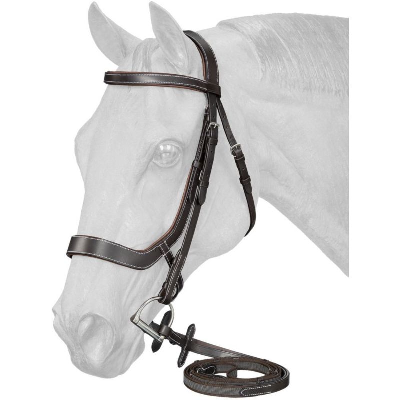 Equitare Cadence Ergonomic Bridle Brown