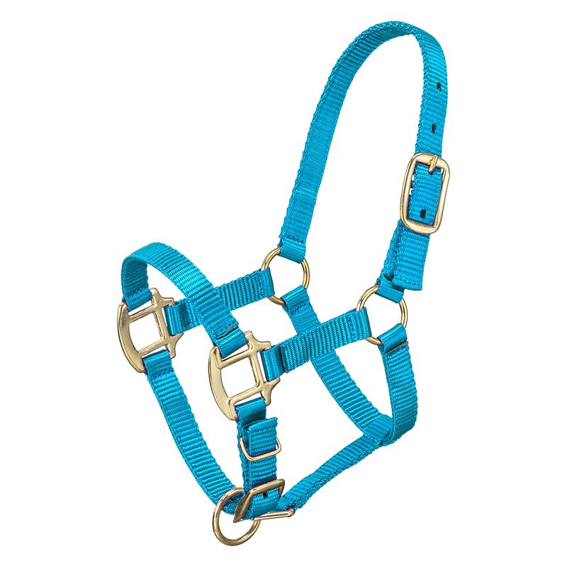 Tough1 Premium Halter Horse Turquoise