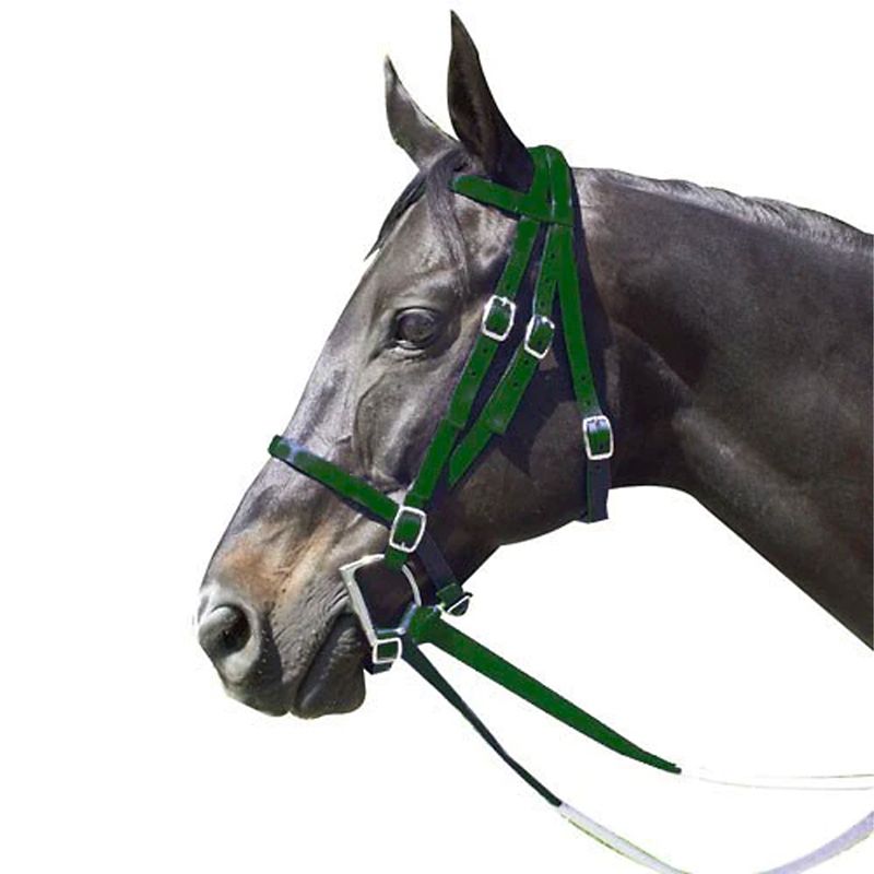 159175HG Intrepid Nylon Racing Bridle Hunter Green sku 159175HG