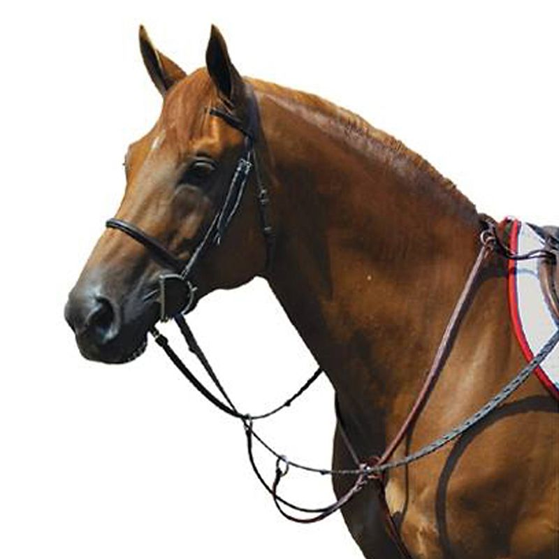 Exselle Fancy High Raised Running Breastplate