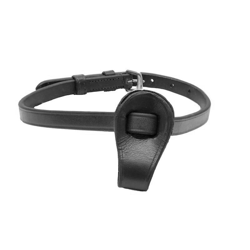 Pro-Trainer Flash Attachment