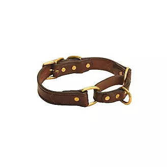 Tory Leather Martingale Leather Dog Collar