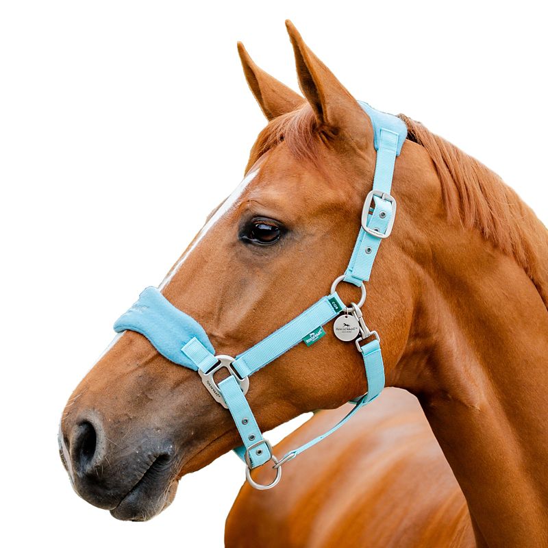 Horseware Sig Grooming Halter Horse Blue Haze