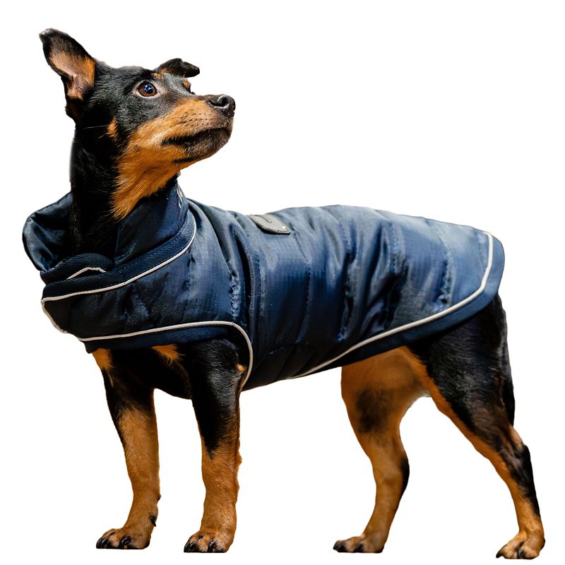 Horseware Signature Dog Blanket XXL Navy