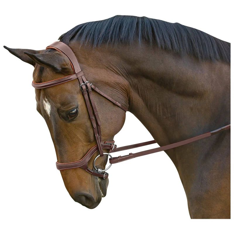 M. Toulouse Jumper Bridle Cob Chocolate/Cognac