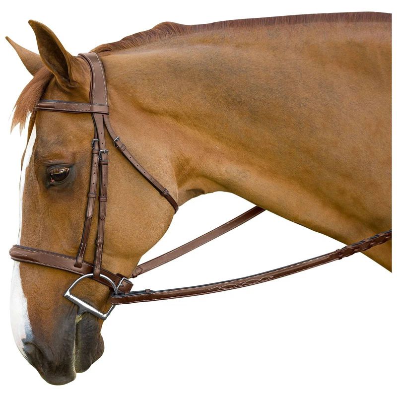 4034C M. Toulouse Brunello Handy Hunter Bridle Cob Choco sku 4034C