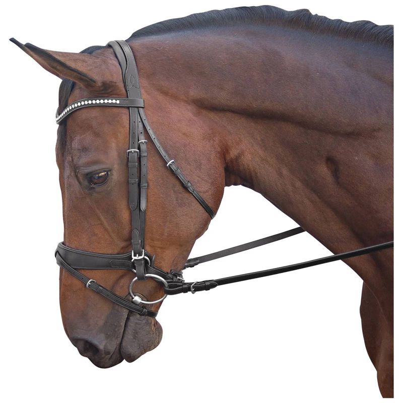 M. Toulouse Cavesson Dressage Bridle Cob Black