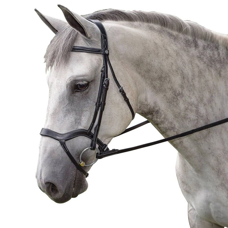 M. Toulouse Hybrid Dressage Bridle Cob Black