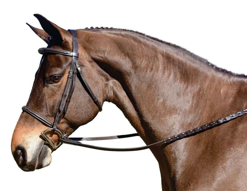 3099F Flex Rider Raised Snaffle Bridle Full Cognac sku 3099F