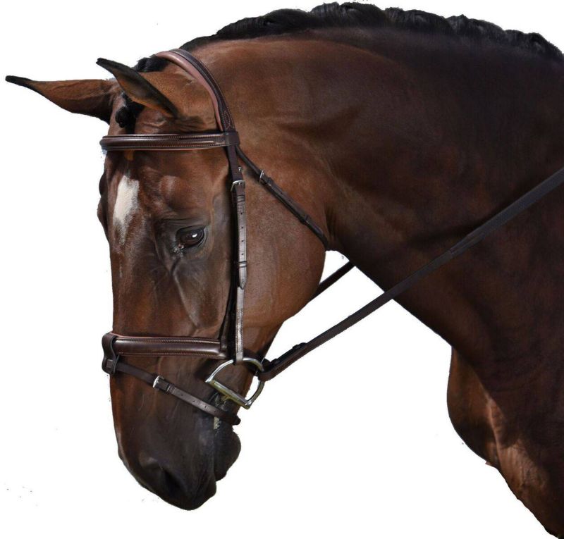 M. Toulouse Eventing Bridle Cob Chocolate/Cognac