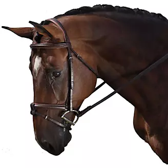 M. Toulouse Eventing Bridle