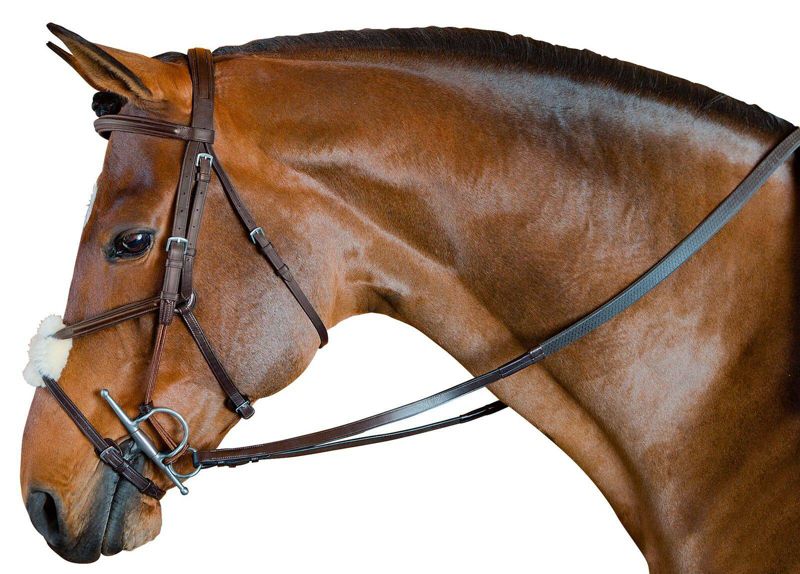 4057XF M. Toulouse Bridle w/Gag Cheeks X-Full Chocolate sku 4057XF