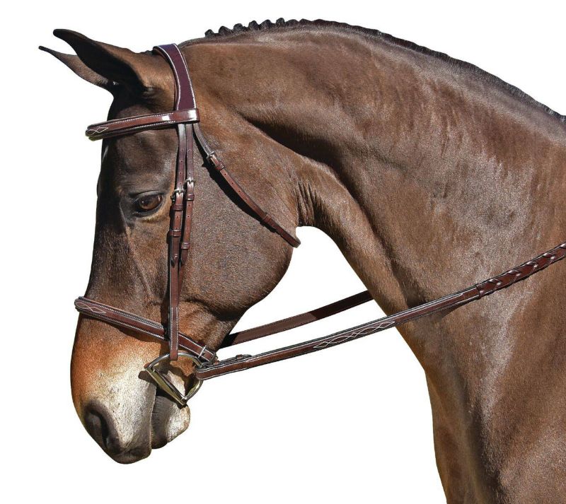 M. Toulouse Snaffle Hunter Bridle Cob Chocolate