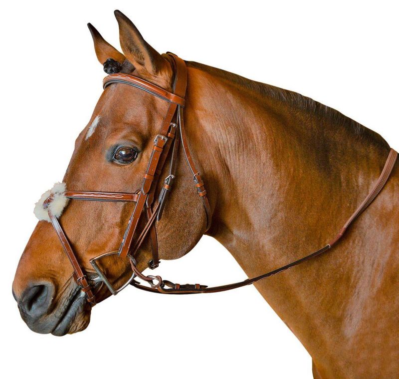 4058C M. Toulouse Jumper Training Bridle Cob Cognac sku 4058C