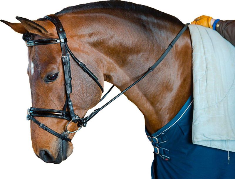 4060F M. Toulouse Platinum Dressage Bridle Full Black sku 4060F