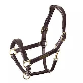Shires Cushioned Leather Headcollar