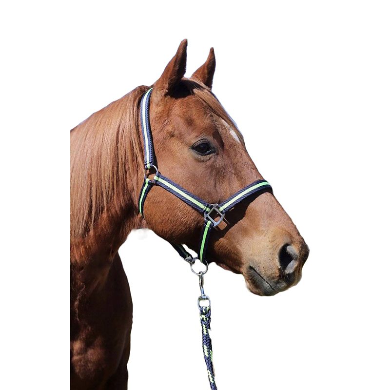 TuffRider Nylon Breakaway Halter & Lead Set Cob Na