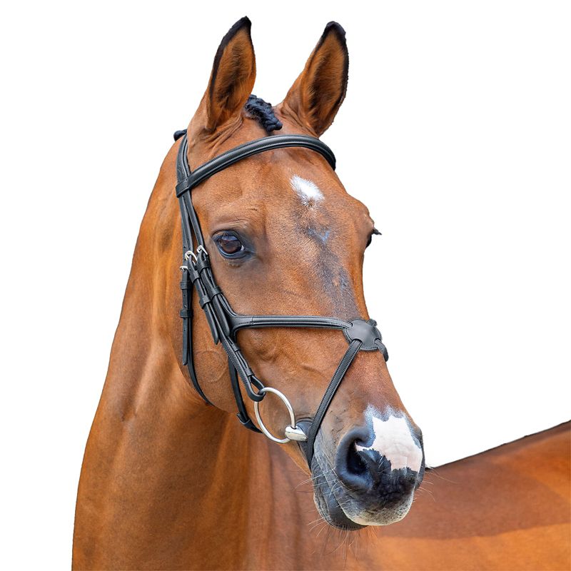 51002-BLK-COB Shires Velociti Lusso Grackle Bridle Cob Black sku 51002-BLK-COB