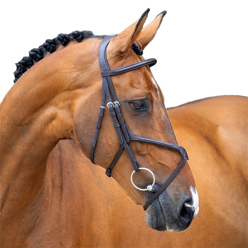 Shires Velociti Lusso Grackle Bridle Cob Havana