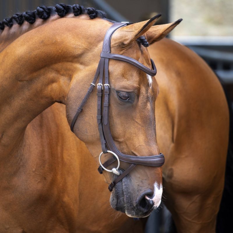 51003-HAVANA-COB Shires Velociti Ergonomic Curved Flash Bridle Cob sku 51003-HAVANA-COB