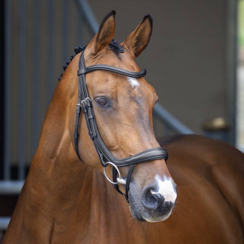 Shires Velociti Ergonomic Curved Flash Bridle Cob