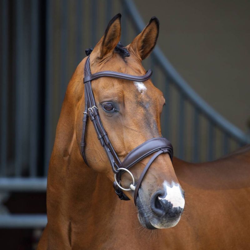 51006-HAVANA-COB Shires Velociti Lusso Dressage Flash Bridle Cob Ha sku 51006-HAVANA-COB