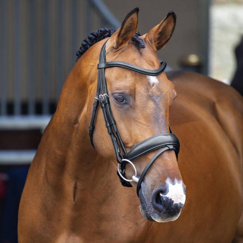 51006-BLK-COB Shires Velociti Lusso Dressage Flash Bridle Cob Bl sku 51006-BLK-COB