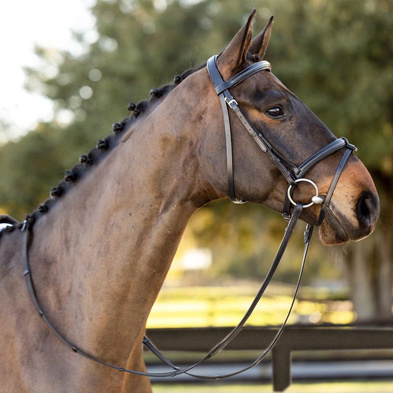 Equinavia Saga Padded Dressage Bridle/Reins Cob