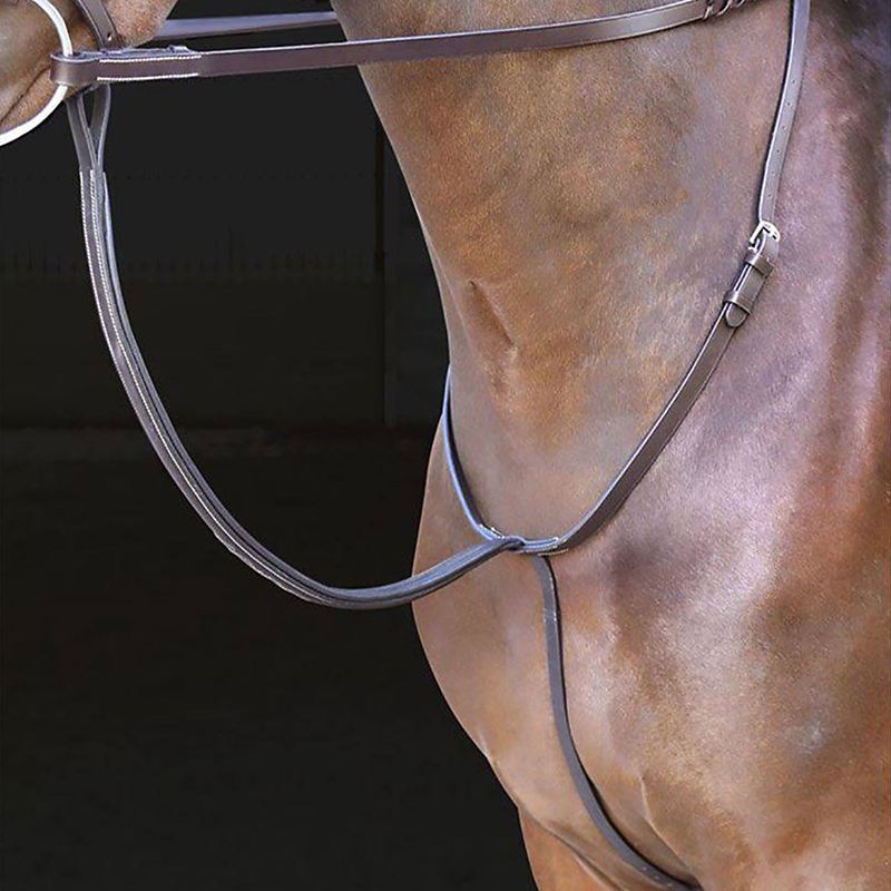 Shires Rossano Standing Martingale Cob Havana