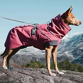 Hurtta Beetroot Expedition Dog Parka 10in