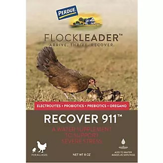 Perdue Flockleader Recover 911 Poultry Powder 8oz