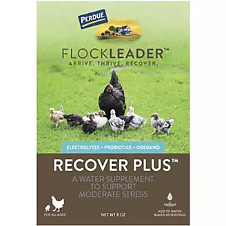 Perdue Flockleader Recover Plus Poultry Powder 8oz