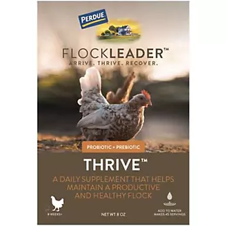 Perdue Flockleader Thrive Poultry Powder 8oz