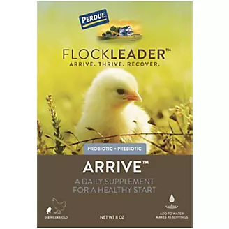 Perdue Flockleader Arrive Poultry Powder 8oz