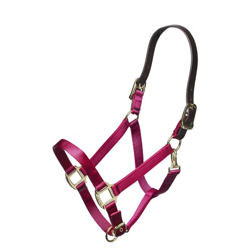 ARMA Nylon Halter Leather Hd Strap XFull Raspberry
