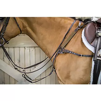 OEQ Padded 5-Point Breastplate