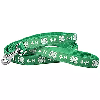 4-H Nylon Lead with Snap