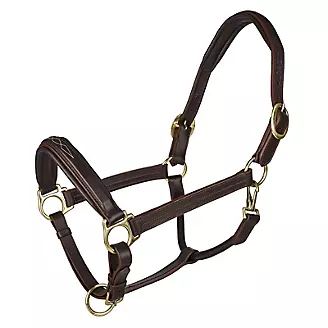 OEQ Fancy Stitched Square Raised Halter