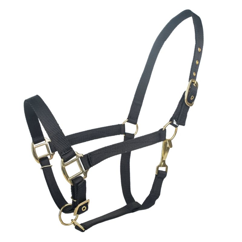 Tabelo Nylon Halter w/Adj Chin Cob Black