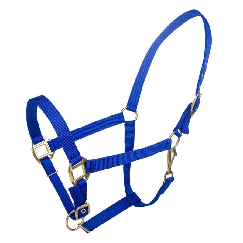 Tabelo Nylon Halter w/Adj Chin Cob Blue