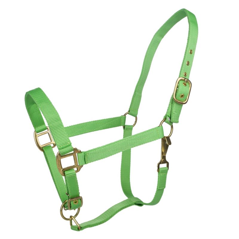 Tabelo Nylon Halter w/Adj Chin Cob Lime