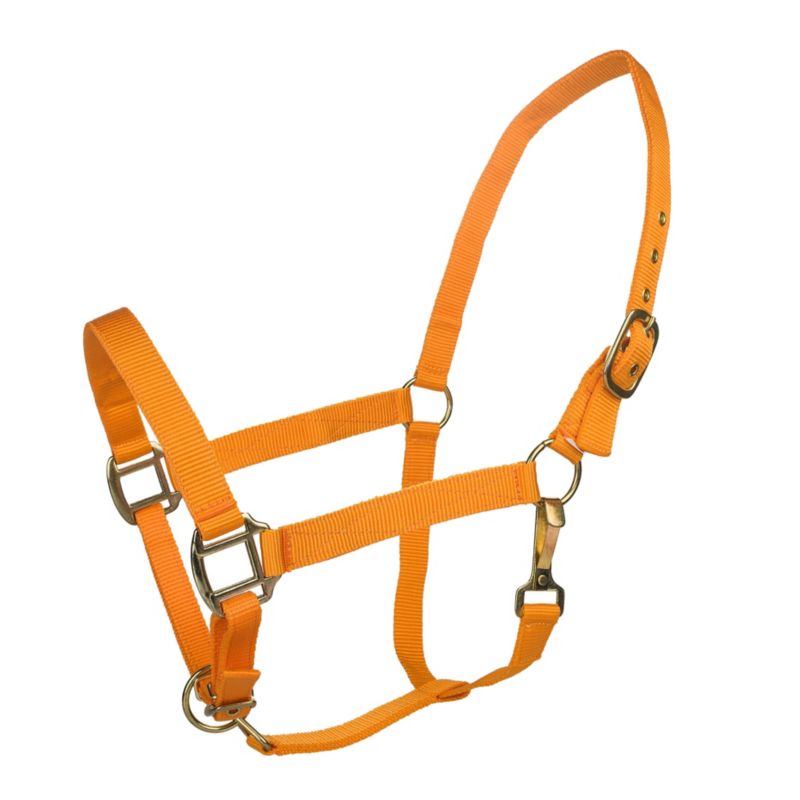 Tabelo Nylon Halter w/Adj Chin Cob Orange