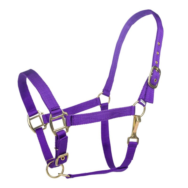 Tabelo Nylon Halter w/Adj Chin Cob Purple