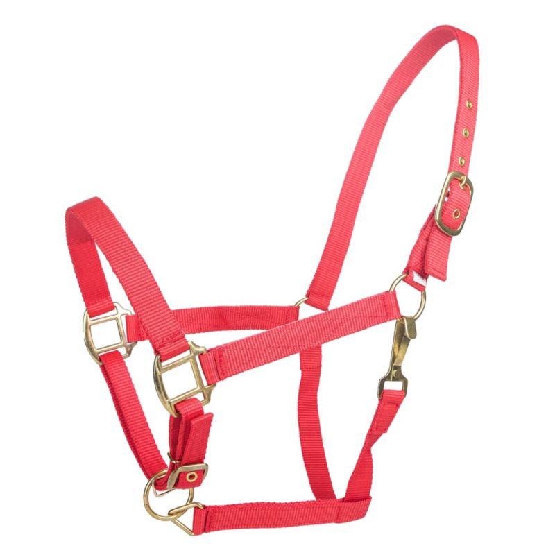 Tabelo Nylon Halter w/Adj Chin Cob Red