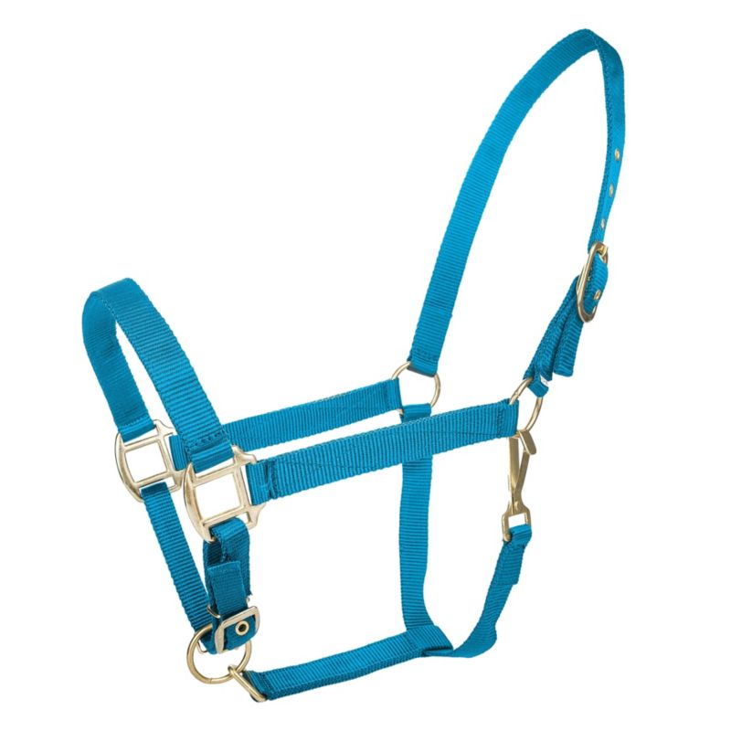 Tabelo Nylon Halter w/Adj Chin Cob Turquoise