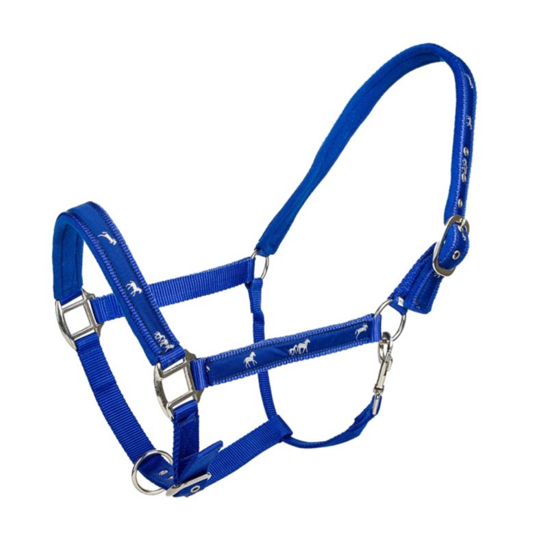 Tabelo Running Horse Halter w/Snap Blue