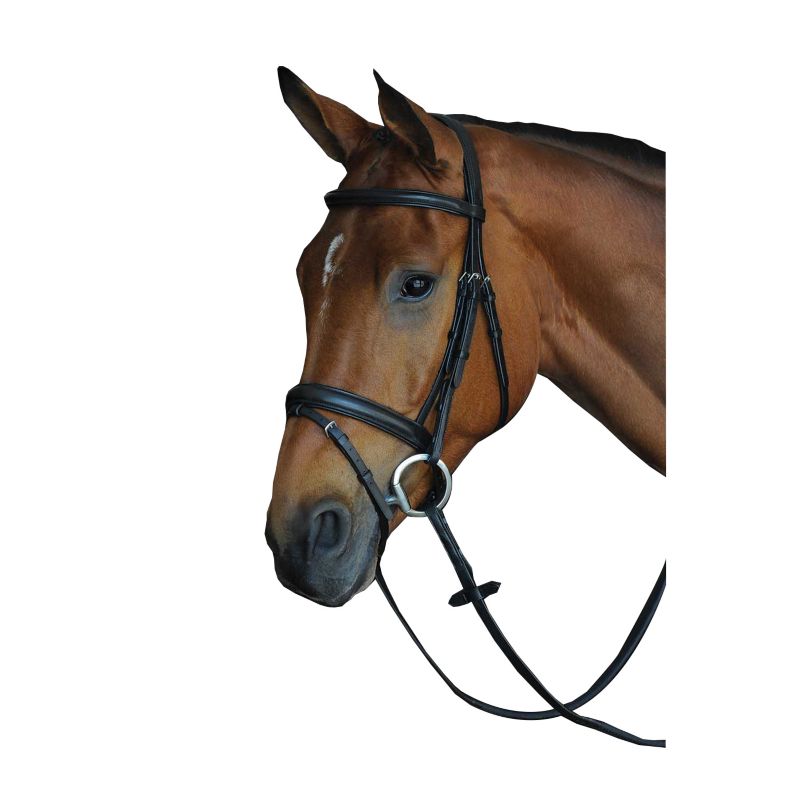 Collegiate CC Pad Raised Flash Bridle Full Black