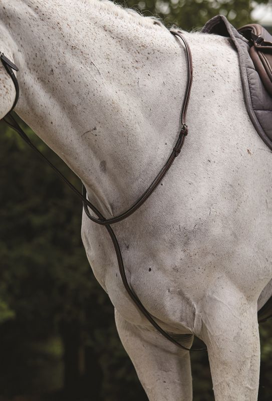 Collegiate Raised Standing Martingale Warmb Brown